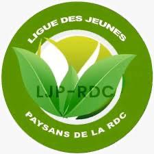 IMAGE 2026-05-12 19:23:05